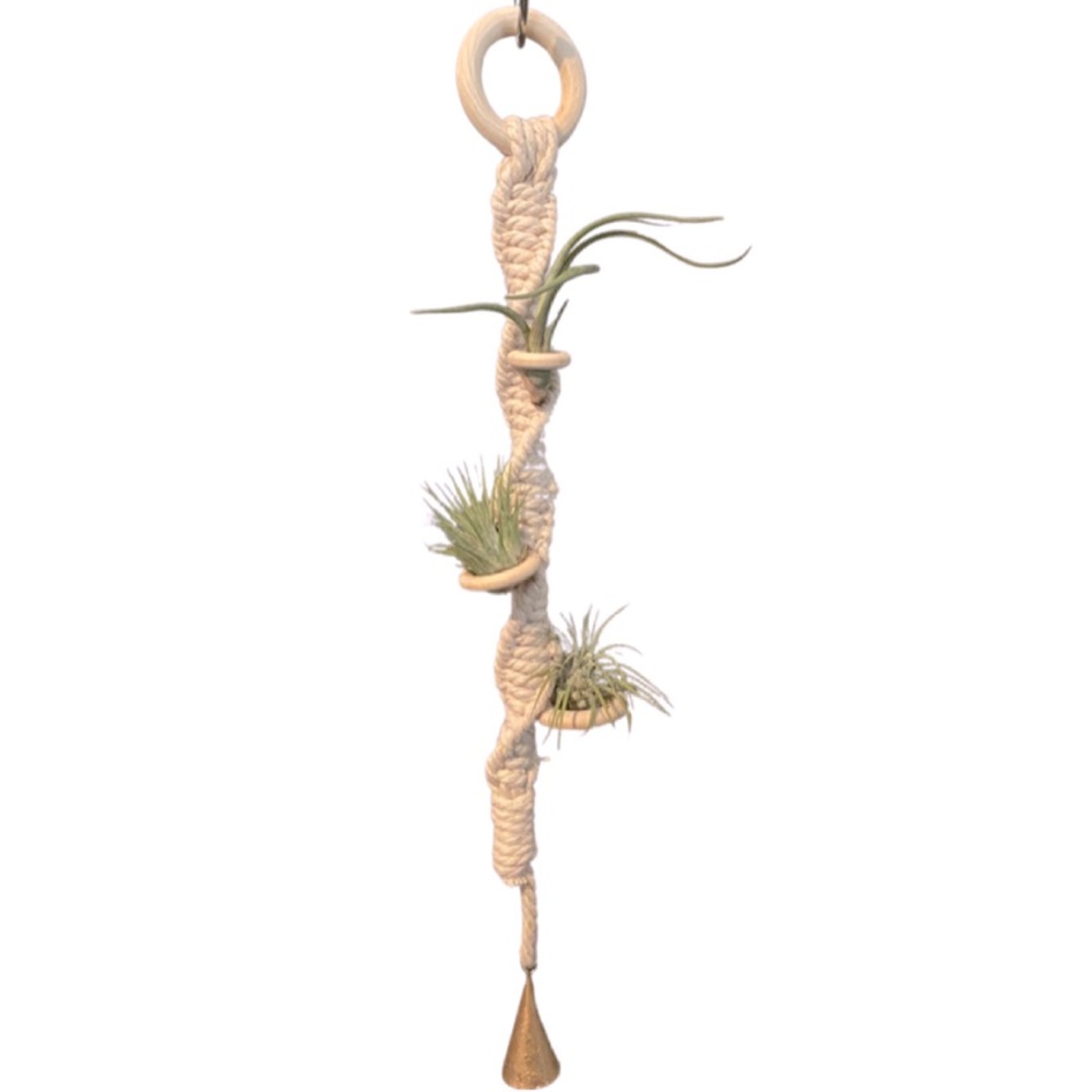 Macrame Air Plant Hanger 💚